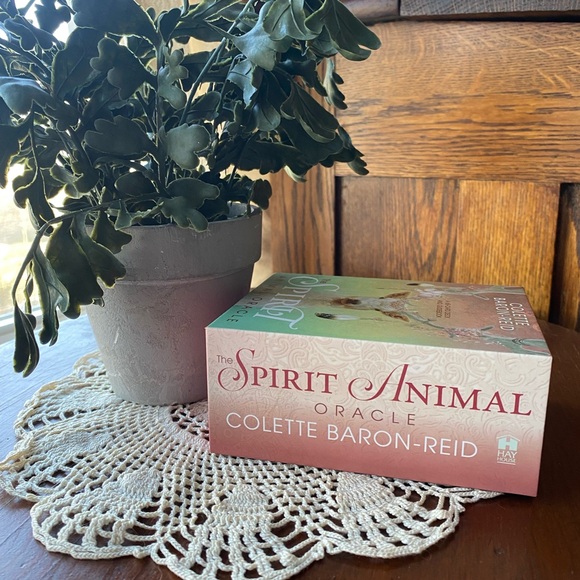 The Spirit Animal Oracle Deck - Multicolor NWOT - Picture 8 of 13